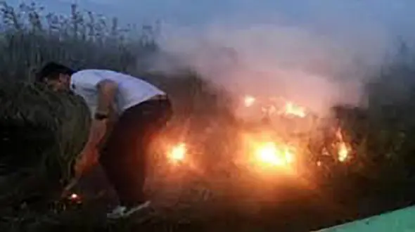 آتش زدن عمدی نیزارهای تالاب انزلی رسیدگی می شود