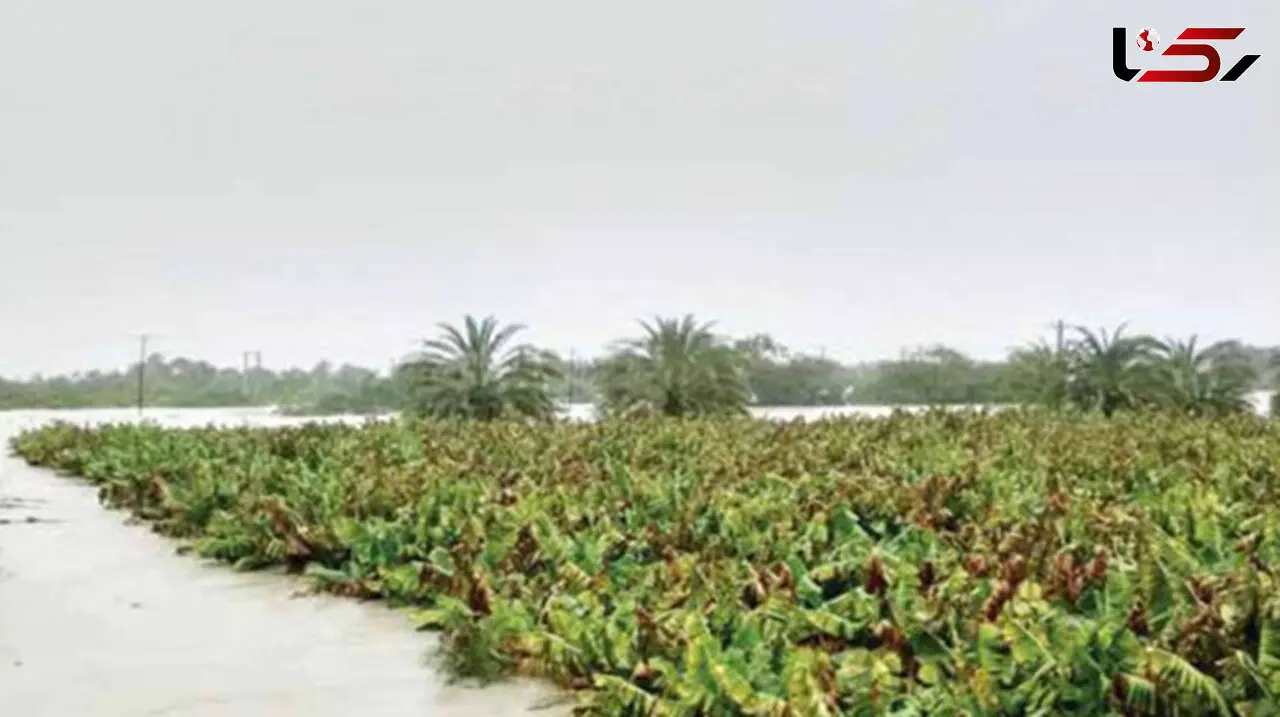  سیل فقر در راه است