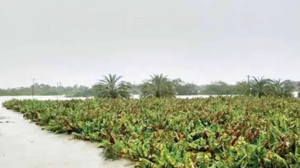  سیل فقر در راه است