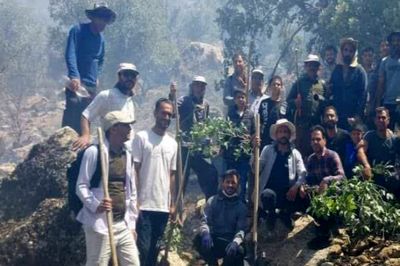 آتش‌سوزی گسترده در تنگ بستانک مرودشت مهار شد