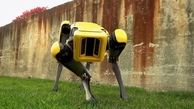 سگ رباتیک بوستون دینامیک  ساخته شد