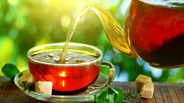 راز عمر طولانی در یک فنجان چای؛ دانشمندان چه می‌ گویند؟