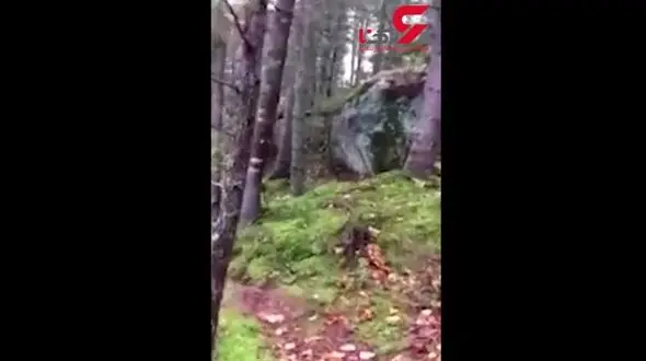 فیلمی زیبا از نفس کشیدن زمین / حتما ببینید