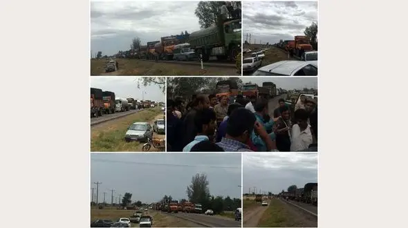 قیمت گوجه و پیاز زیر هزار تومان / چرا گران می فروشند + عکسی عجیب از اعتراض کشاورزان