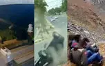 از سرقت مسلحانه در فروشگاه تا حمله خرس وحشی به اهالی یک خانه + 10 فیلم حادثه ای 
