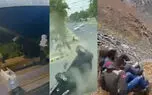 از سرقت مسلحانه در فروشگاه تا حمله خرس وحشی به اهالی یک خانه + 10 فیلم حادثه ای 