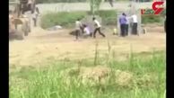 فیلم لحظه گلوله خوردن 2 مرد مازندرانی توسط ارتش! / نیروی هوایی توضیح داد