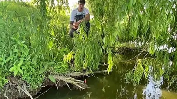 فیلم لحظه پرتاب ماهیگیر توسط ماهی بزرگ به دریاچه