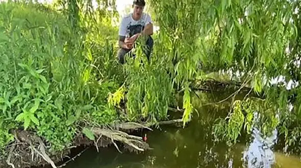 فیلم لحظه پرتاب ماهیگیر توسط ماهی بزرگ به دریاچه