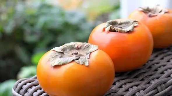 خواص میوه های پاییزی را بشناسید