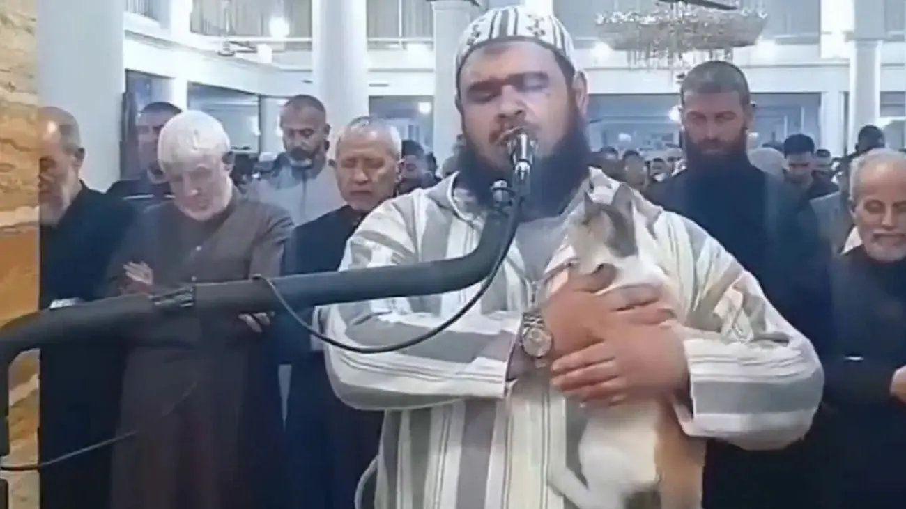 فیلم گربه‌ ای که روی شانه امام جماعت در نماز رفت!