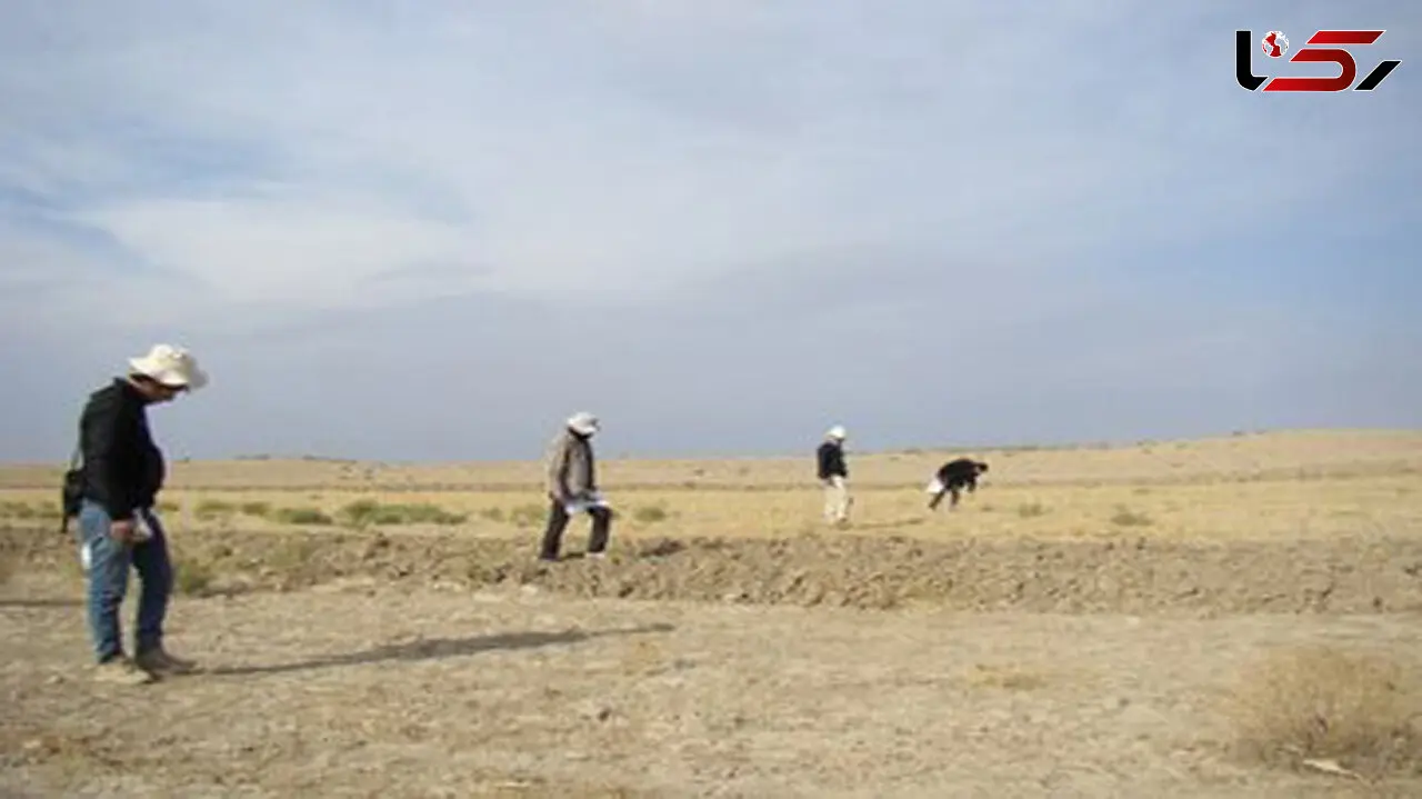 کشف آثار معماری دوره اشکانی در محوطه تاریخی ویران‌شهر فاروج