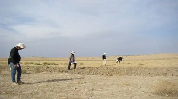 کشف آثار معماری دوره اشکانی در محوطه تاریخی ویران‌شهر فاروج