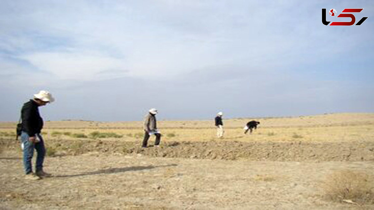 کشف آثار معماری دوره اشکانی در محوطه تاریخی ویران‌شهر فاروج