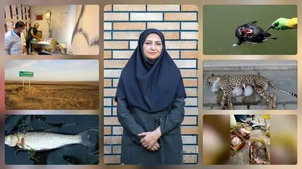 ویرانی زیست‌محیطی ایران زیر سایه‌ یک سازمان منفعل/ خانم انصاری! سازمان تحت مدیریت شما تشریفاتی‌ترین نهاد دولت است