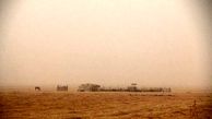 خسارت گسترده ریزگردها به کشاورزی خوزستان