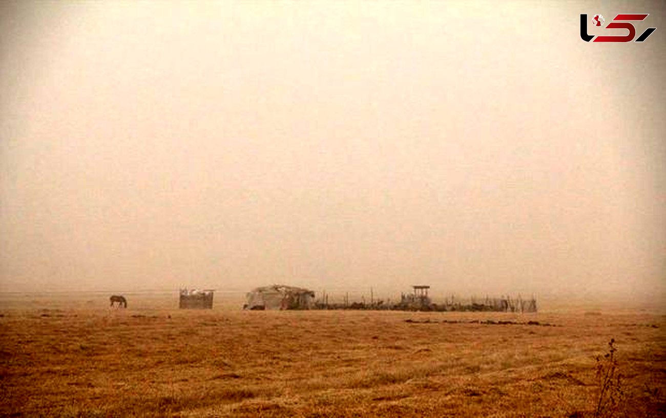 خسارت گسترده ریزگردها به کشاورزی خوزستان