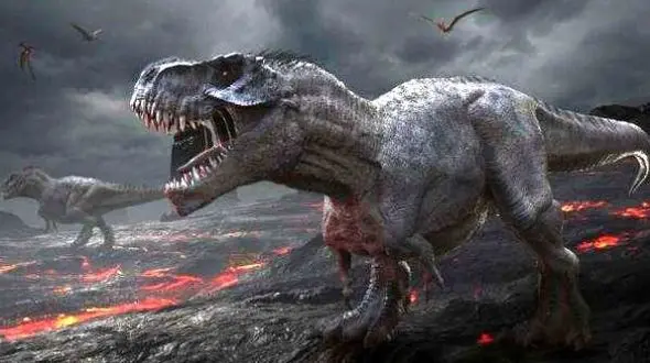 این گونه جانور وحشی موادمخدر مصرف می کند+ عکس