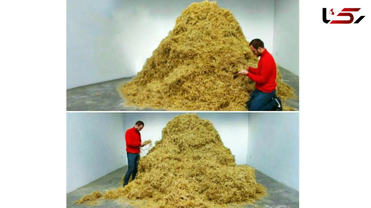سوزن در انبار کاه پیدا شد+ عکس