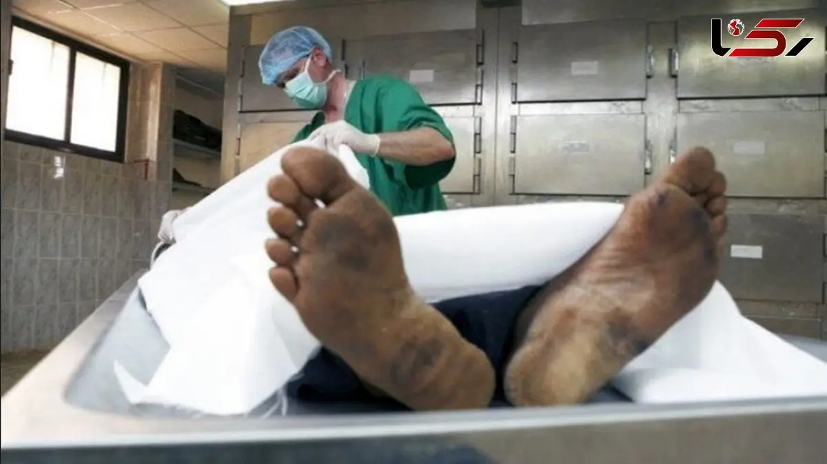 قتل پسر 18 ساله هنگام دزدیدن موبایلش / در بوستان ولایت تهران رخ داد