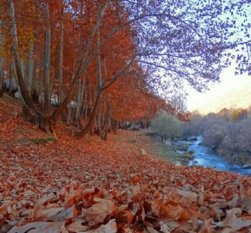 عکس پاییز