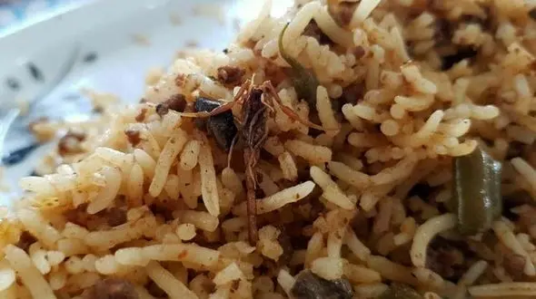 پشت پرده عکس جنجالی عقرب داخل غذای دانشجوها + تصویر