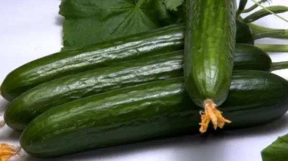 چرا باید در فصل گرما خیار بخوریم؟/سم زدایی از بدن با این خوشبوی خوشمزه