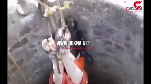 عملیات نجات یک گاو توسط امدادگران از چاه پر از آب + فیلم 