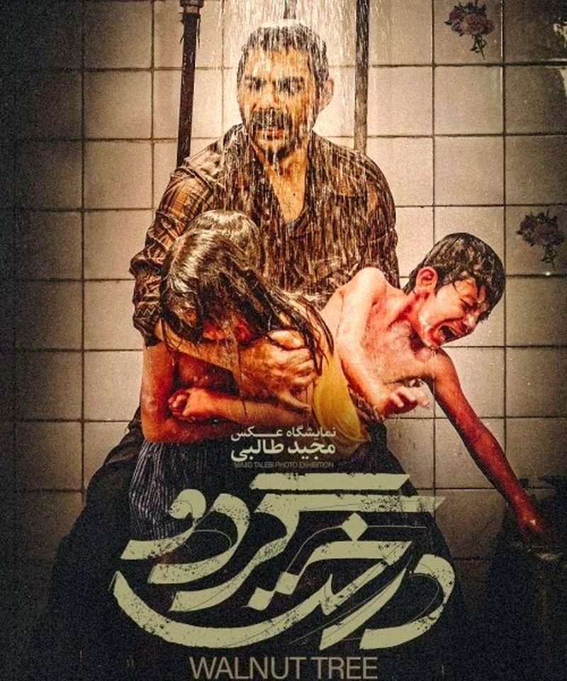 فیلم درخت گردو