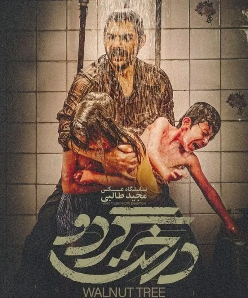 فیلم درخت گردو
