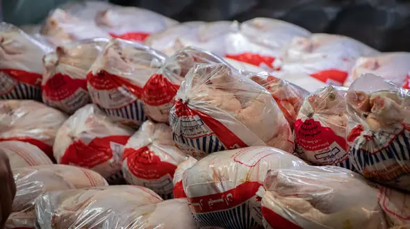 مرغ با نرخ مصوب در مسیر انحرافی گرانتر به فروش می رسد