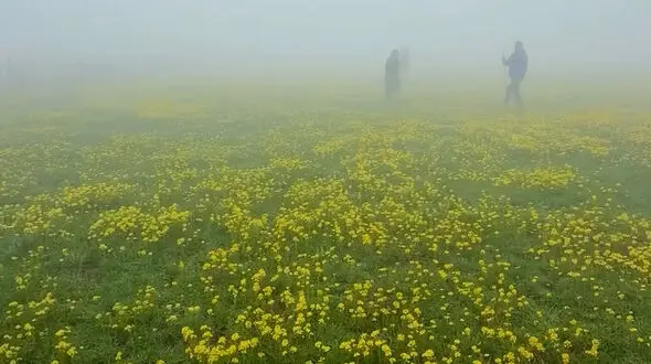 دو  چهره زیبای ایران