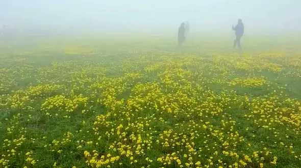 دو  چهره زیبای ایران