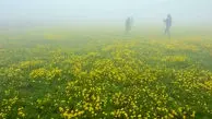دو  چهره زیبای ایران