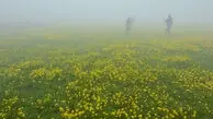 دو  چهره زیبای ایران
