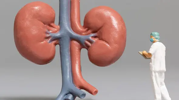 عادات کلیه خراب کن را بشناس