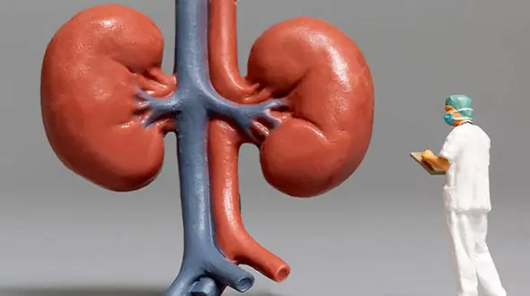 عادات کلیه خراب کن را بشناس