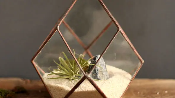 گلدان های شیشه ای