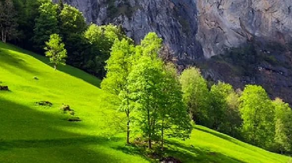 از طبیعت زیبای سوئیس تا بیمارستان مدرن در چین