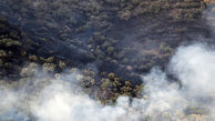 ۲۶ استان درگیر توفان‌های ریزگرد/آتش‌سوزی و تخریب حدود ۵۲۰ هکتار از اراضی جنگلی کشور