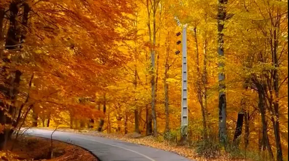 از خزان ییلاق درازنو ، استان گلستان تا شانگهای چین، مسیری رویایی و البته دهشتناک