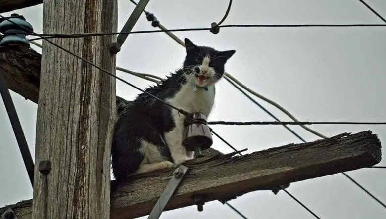 وعده عجیب معاون اقتصادی استاندار تهران درباره تابستان ۱۴۰۵ بدون قطعی برق / در حالی که تهران با بحران آب مواجه است، وعده عبور بدون قطعی برق بی‌معناست