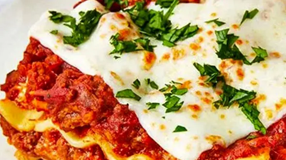 آموزش صفر تا صد لازانیا