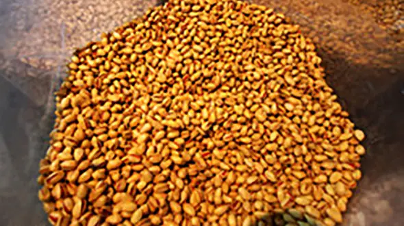 کشف 2.5 میلیارد تومان خشکبار قاچاق در شهرری