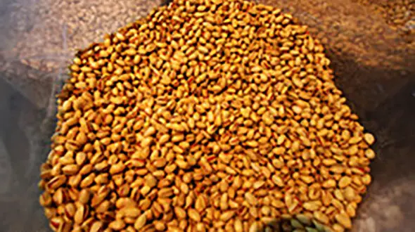 کشف 2.5 میلیارد تومان خشکبار قاچاق در شهرری