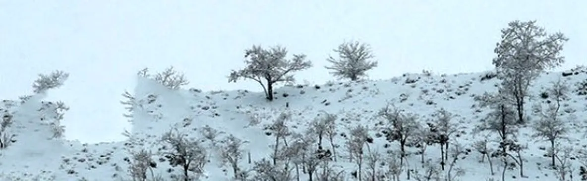 گچساران برفی / زیبایی زمستان در روستای گناوه لری