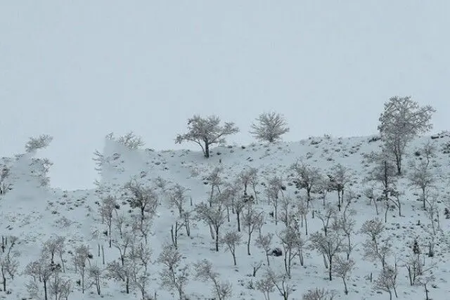 گچساران برفی / زیبایی زمستان در روستای گناوه لری