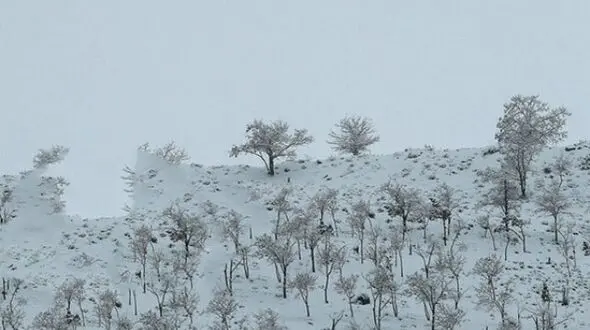 گچساران برفی / زیبایی زمستان در روستای گناوه لری