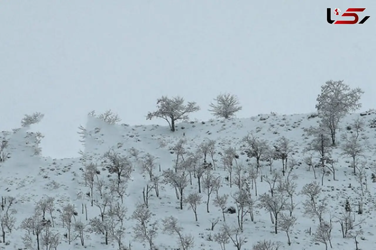 گچساران برفی / زیبایی زمستان در روستای گناوه لری