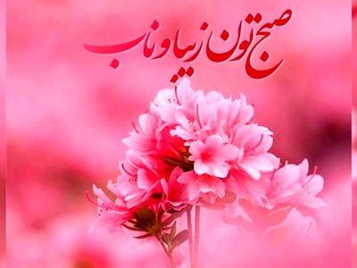 فال و طالع بینی امروز 29 مرداد 